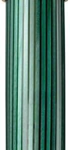 Pelikan Premium M800 Fountain Pen F Plume Black/Greem